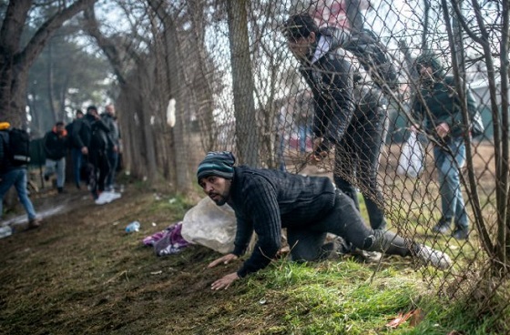 مسؤولة ألمانية تدعو حكومتها لقبول المهاجرين العالقين على حدود بيلاروس وبولندا Hijra.Aslk