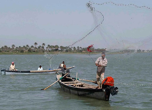 فيديو - الكشاف قصة الماء والجيران الصيد البحري في الفاو Kashaf