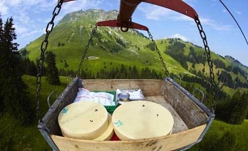صور رائعة لكيفية صنع الجبنة السويسرية! Swiss.G1