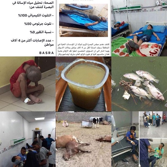 فحة مؤلمة من كارثة العراق الصحيه : الدكتور هيثم الشيباني Basrah.Thl