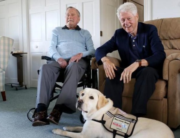 بوش الأب يستعين بكلبة لمساعدته في مهامه اليومية Bush.dog